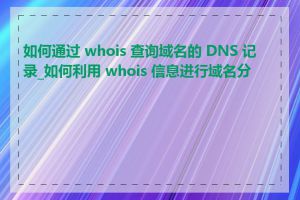 如何通过 whois 查询域名的 DNS 记录_如何利用 whois 信息进行域名分析