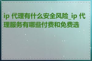 ip 代理有什么安全风险_ip 代理服务有哪些付费和免费选择