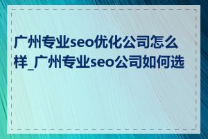 广州专业seo优化公司怎么样_广州专业seo公司如何选择