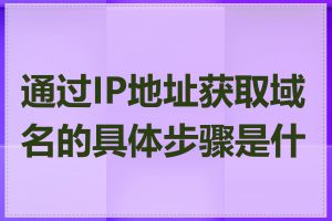 通过IP地址获取域名的具体步骤是什么