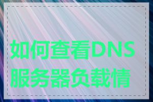 如何查看DNS服务器负载情况
