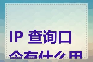 IP 查询口令有什么用途