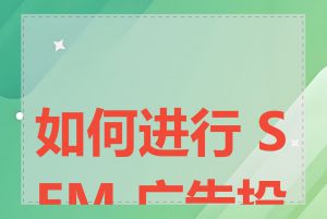 如何进行 SEM 广告投放