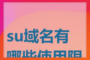 su域名有哪些使用限制