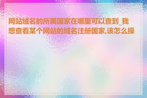 网站域名的所属国家在哪里可以查到_我想查看某个网站的域名注册国家,该怎么操作