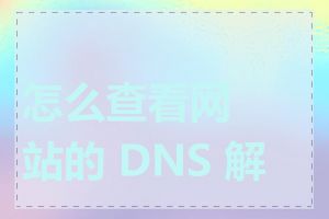 怎么查看网站的 DNS 解析