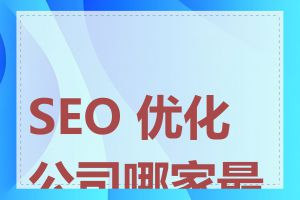 SEO 优化公司哪家最好