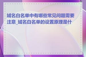域名白名单中有哪些常见问题需要注意_域名白名单的设置原理是什么