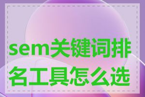 sem关键词排名工具怎么选择
