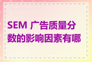 SEM 广告质量分数的影响因素有哪些