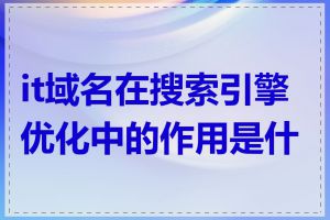 it域名在搜索引擎优化中的作用是什么