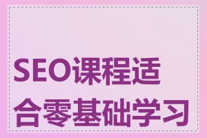 SEO课程适合零基础学习吗