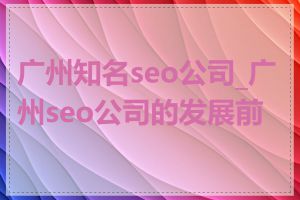 广州知名seo公司_广州seo公司的发展前景