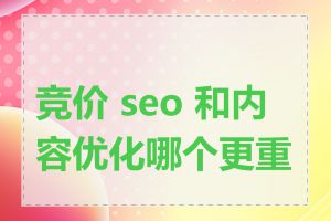 竞价 seo 和内容优化哪个更重要