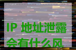 IP 地址泄露会有什么风险