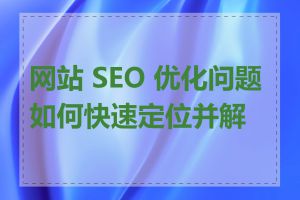 网站 SEO 优化问题如何快速定位并解决