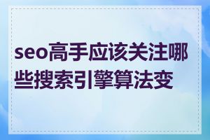seo高手应该关注哪些搜索引擎算法变化