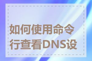 如何使用命令行查看DNS设置