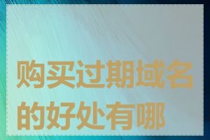 购买过期域名的好处有哪些