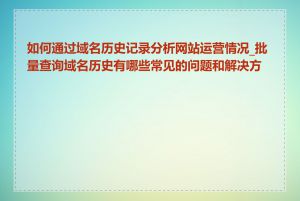 如何通过域名历史记录分析网站运营情况_批量查询域名历史有哪些常见的问题和解决方法