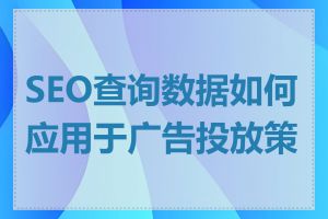 SEO查询数据如何应用于广告投放策略