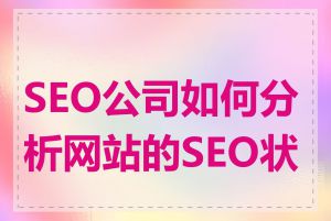 SEO公司如何分析网站的SEO状况