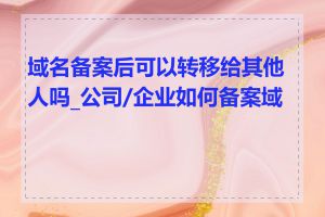 域名备案后可以转移给其他人吗_公司/企业如何备案域名