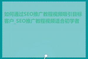 如何通过SEO推广教程视频吸引目标客户_SEO推广教程视频适合初学者吗