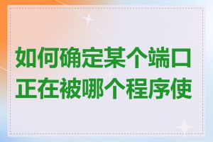 如何确定某个端口正在被哪个程序使用