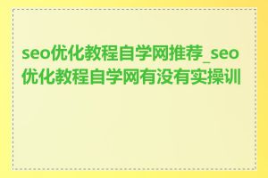 seo优化教程自学网推荐_seo优化教程自学网有没有实操训练