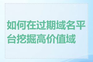 如何在过期域名平台挖掘高价值域名