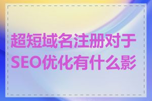 超短域名注册对于SEO优化有什么影响