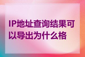 IP地址查询结果可以导出为什么格式