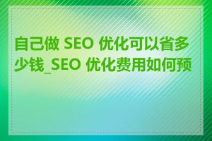自己做 SEO 优化可以省多少钱_SEO 优化费用如何预算