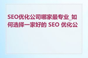 SEO优化公司哪家最专业_如何选择一家好的 SEO 优化公司