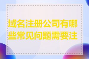 域名注册公司有哪些常见问题需要注意