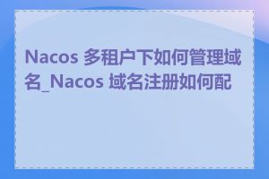 Nacos 多租户下如何管理域名_Nacos 域名注册如何配置