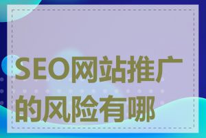 SEO网站推广的风险有哪些
