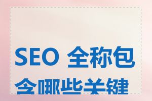 SEO 全称包含哪些关键词