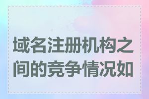 域名注册机构之间的竞争情况如何