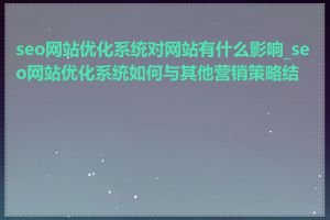 seo网站优化系统对网站有什么影响_seo网站优化系统如何与其他营销策略结合