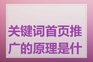关键词首页推广的原理是什么