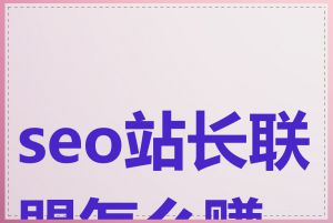 seo站长联盟怎么赚钱