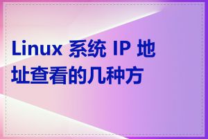 Linux 系统 IP 地址查看的几种方法
