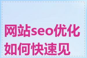 网站seo优化如何快速见效