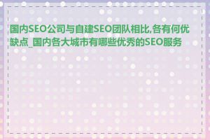 国内SEO公司与自建SEO团队相比,各有何优缺点_国内各大城市有哪些优秀的SEO服务商