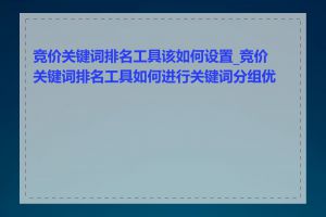 竞价关键词排名工具该如何设置_竞价关键词排名工具如何进行关键词分组优化