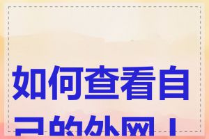 如何查看自己的外网 IP