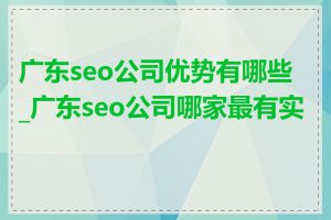 广东seo公司优势有哪些_广东seo公司哪家最有实力
