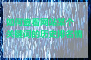 如何查看网站某个关键词的历史排名情况
